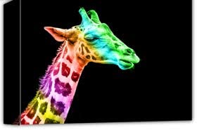 Giraffe in Rainbow Colours