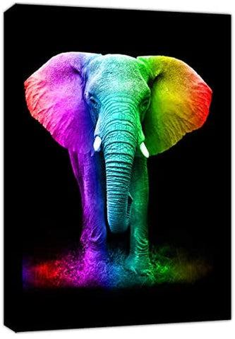 Elephant in Rainbow Colours