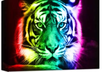 Tiger Head in Rainbow Colours