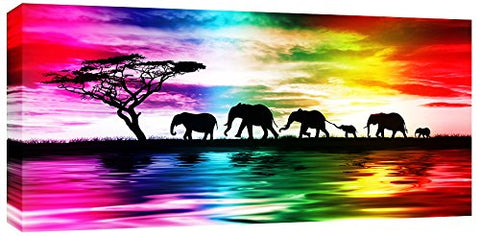 Rainbow Elephant Sunset