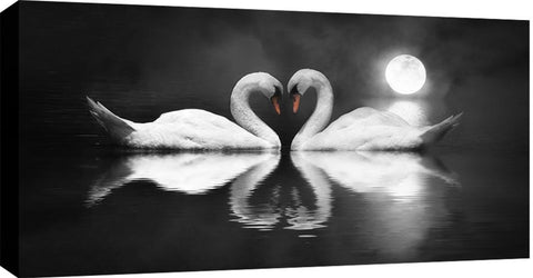 Moonlight Swans Canvas