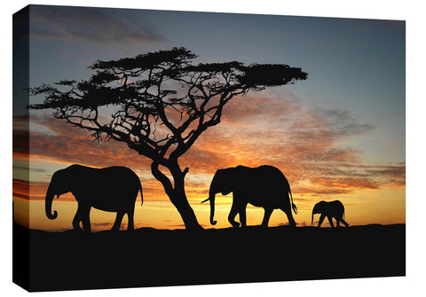 Elephants Walking By Sunset